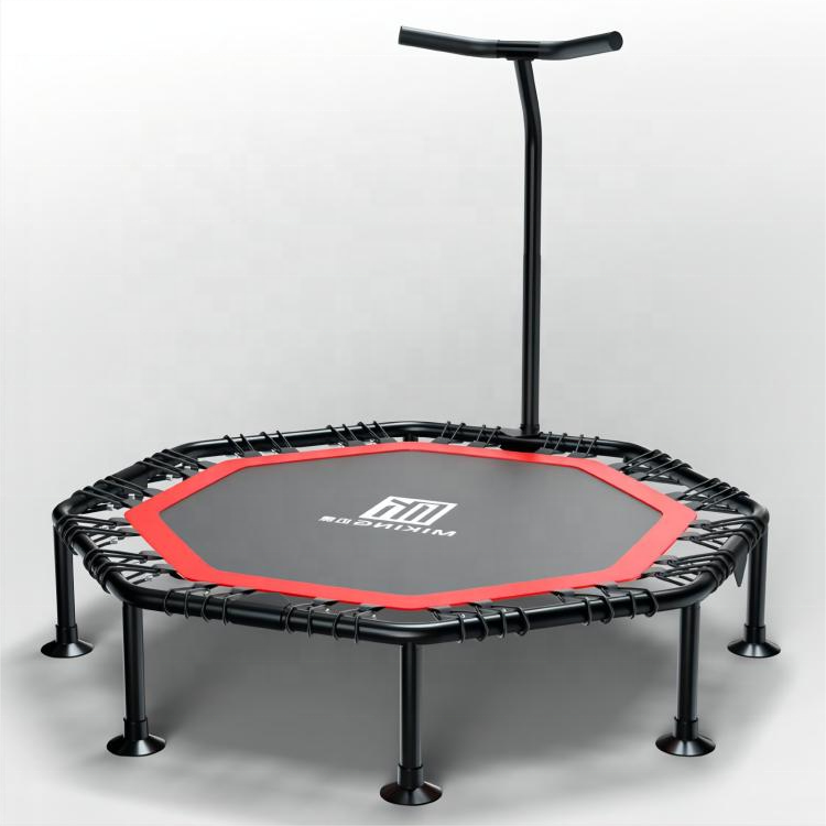 Trampoline with Adjustable Han - Home Gym For Kids avis et prix