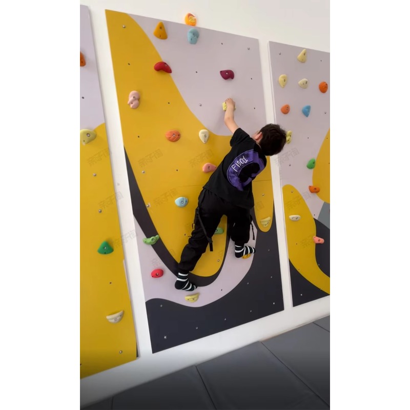 Kids Indoor Plywood Climbing W - Home Gym For Kids avis et prix