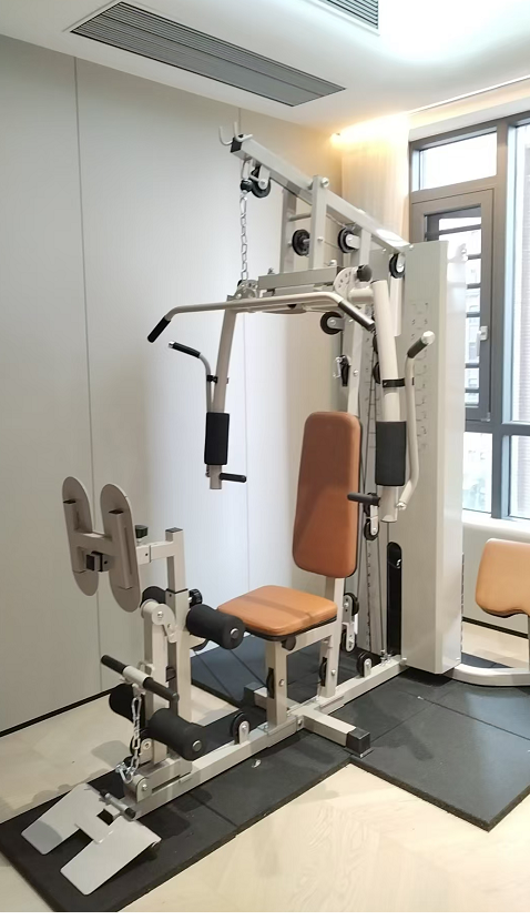 All-In-One Multi-Function Home - Home Gym All In One avis et prix