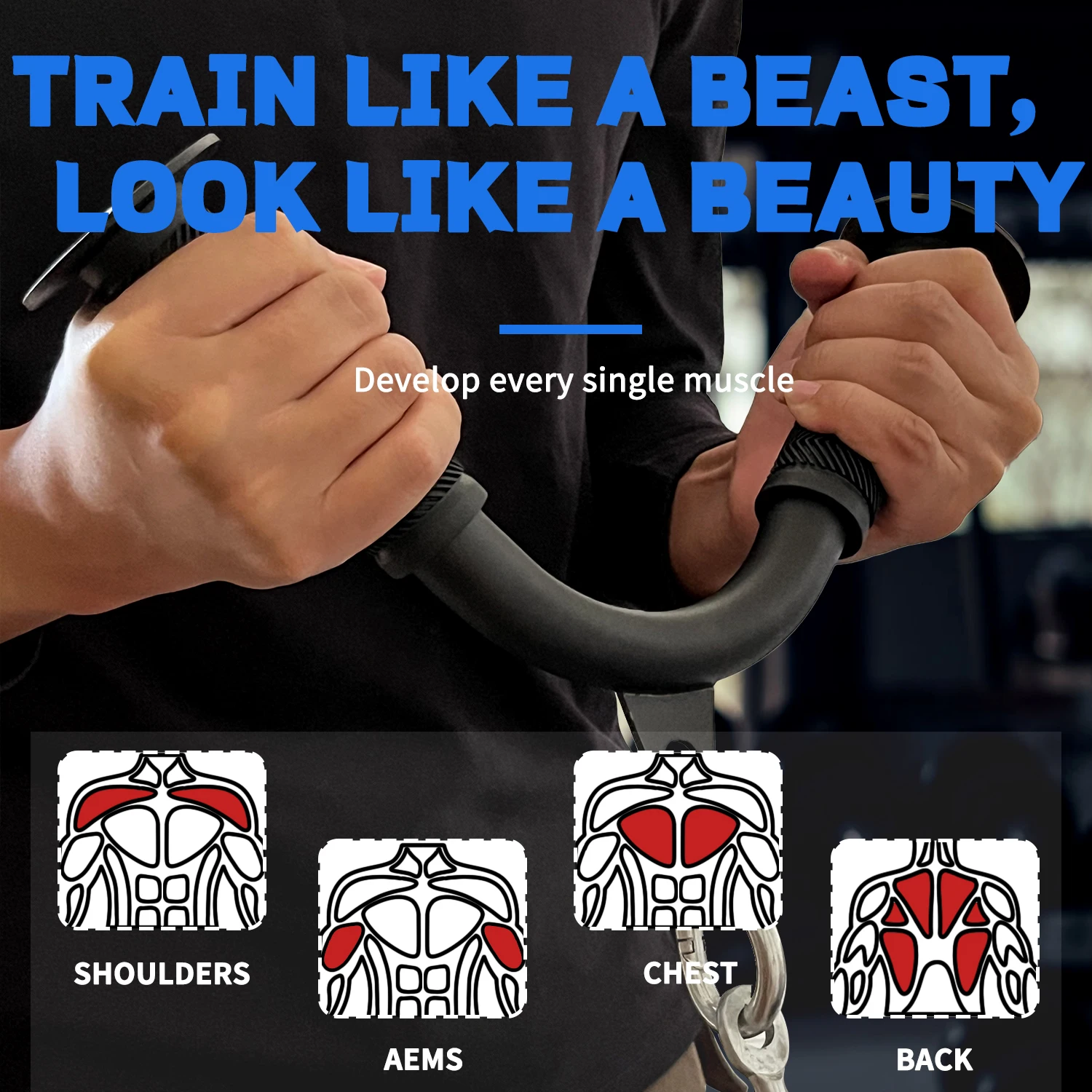 Tricep Pull Down Attachment wi - Deadlift Jack Barbell avis et prix