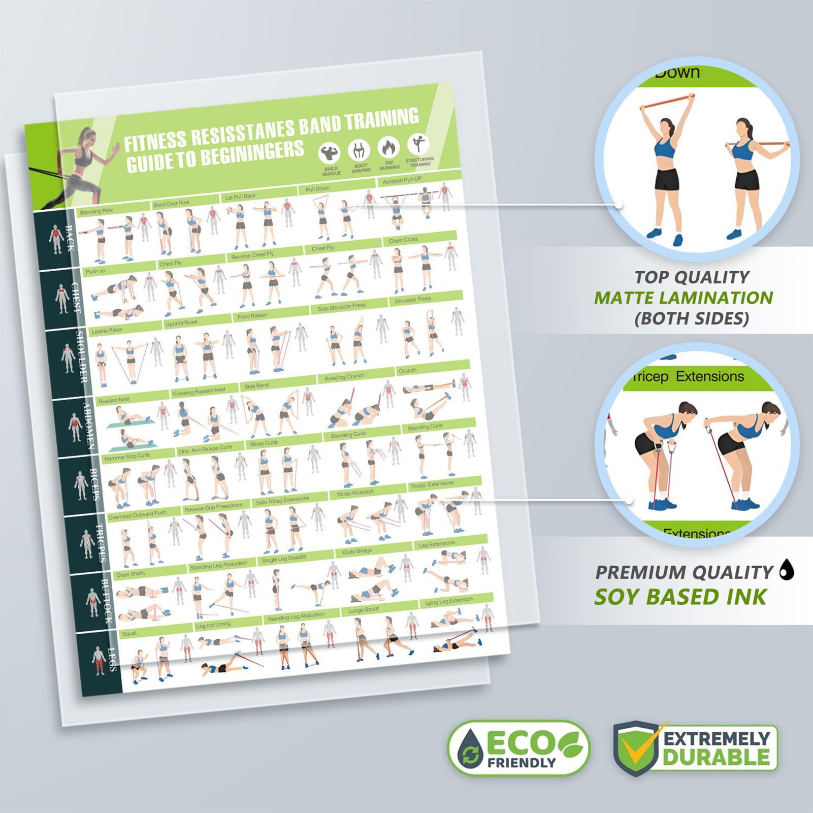 Workout Posters with Resistanc - Home Gym Guide avis et prix