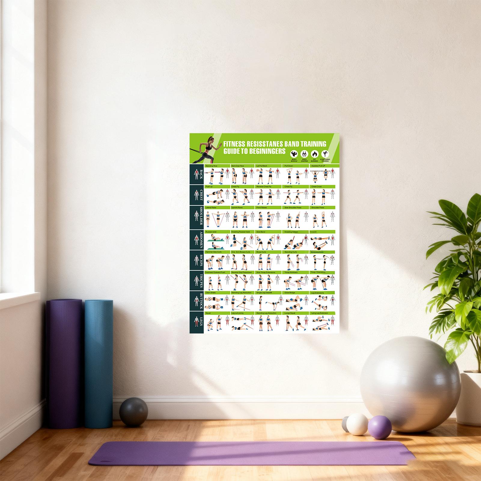 Workout Posters with Resistanc - Home Gym Guide avis et prix