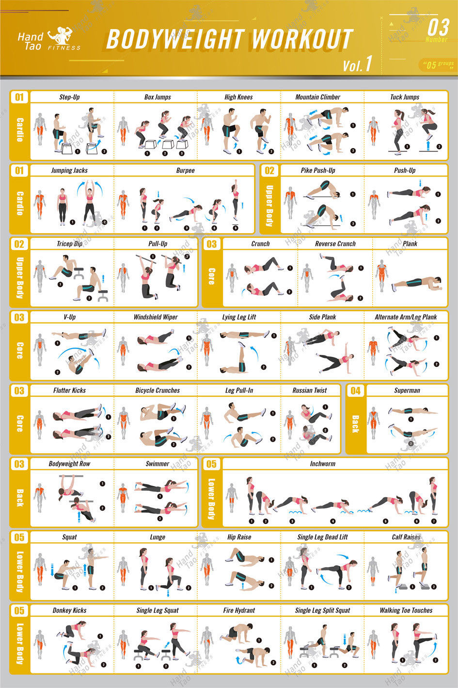 Bodyweight workout Exercise Bo - Home Gym Guide avis et prix