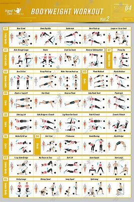 Bodyweight workout Exercise Bo - Home Gym Guide avis et prix