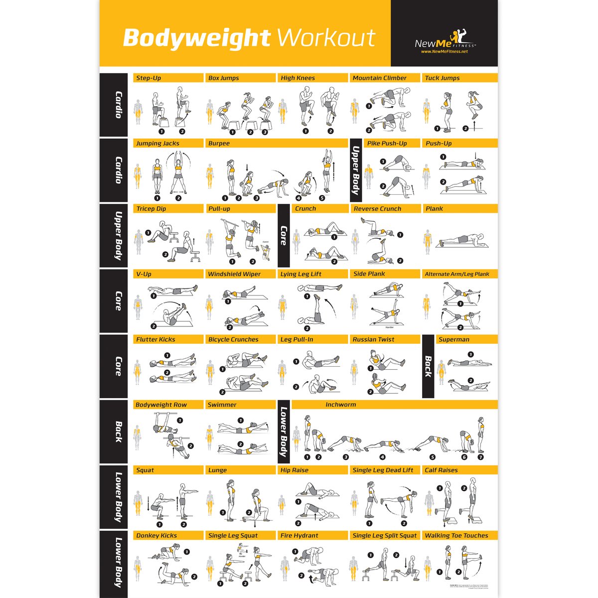 Bodyweight workout Exercise Bo - Home Gym Guide avis et prix