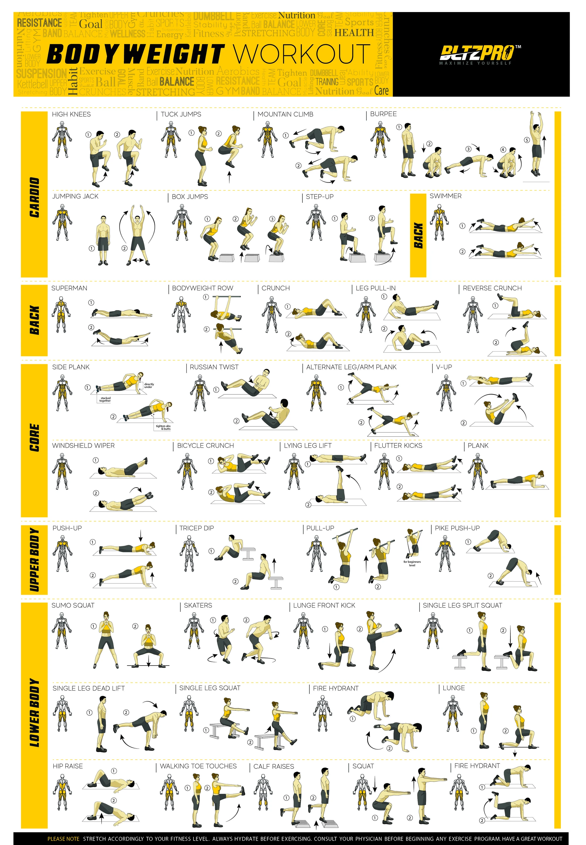 Bodyweight workout Exercise Bo - Home Gym Guide avis et prix